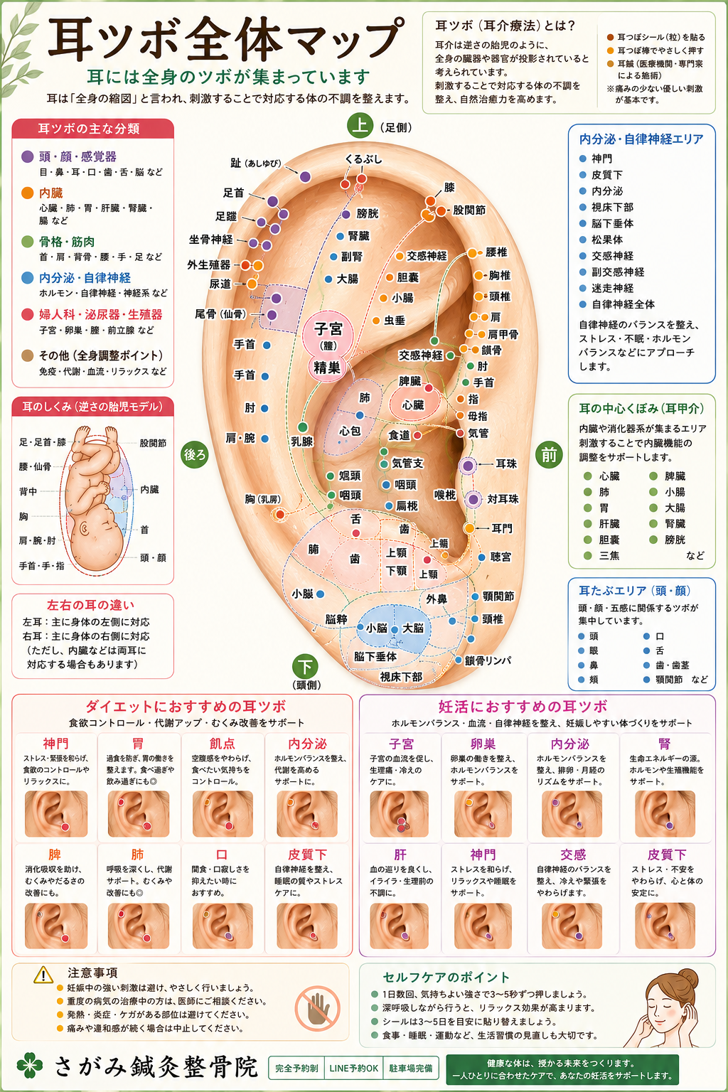 ダイエットで行う耳ツボ